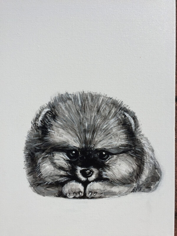 Animals 16 | Daniel Simeonov Fine Art