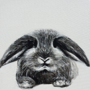 Animals 18 | Daniel Simeonov Fine Art